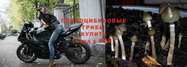 ALPHA-PVP Кодинск