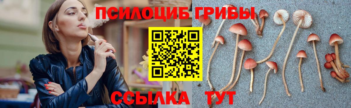 Псилоцибиновые грибы Psilocybine cubensis Шахты