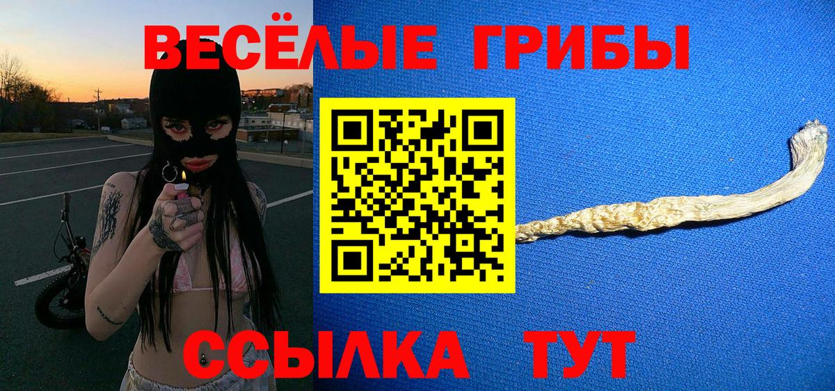 Шахты  Галлюциногенные грибы мухоморы  Вход с VPN  Псилоцибиновые грибы прущие грибы 